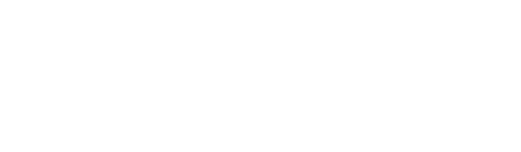 domino-logo-transparent-blanc-1024x299